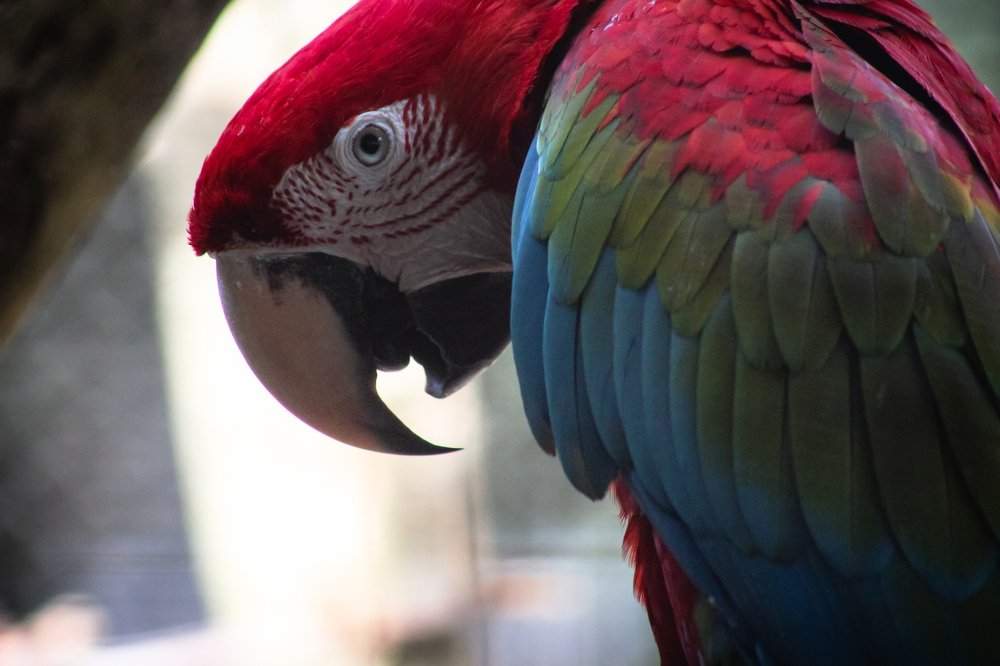 Photograph by Zaheer Baksh