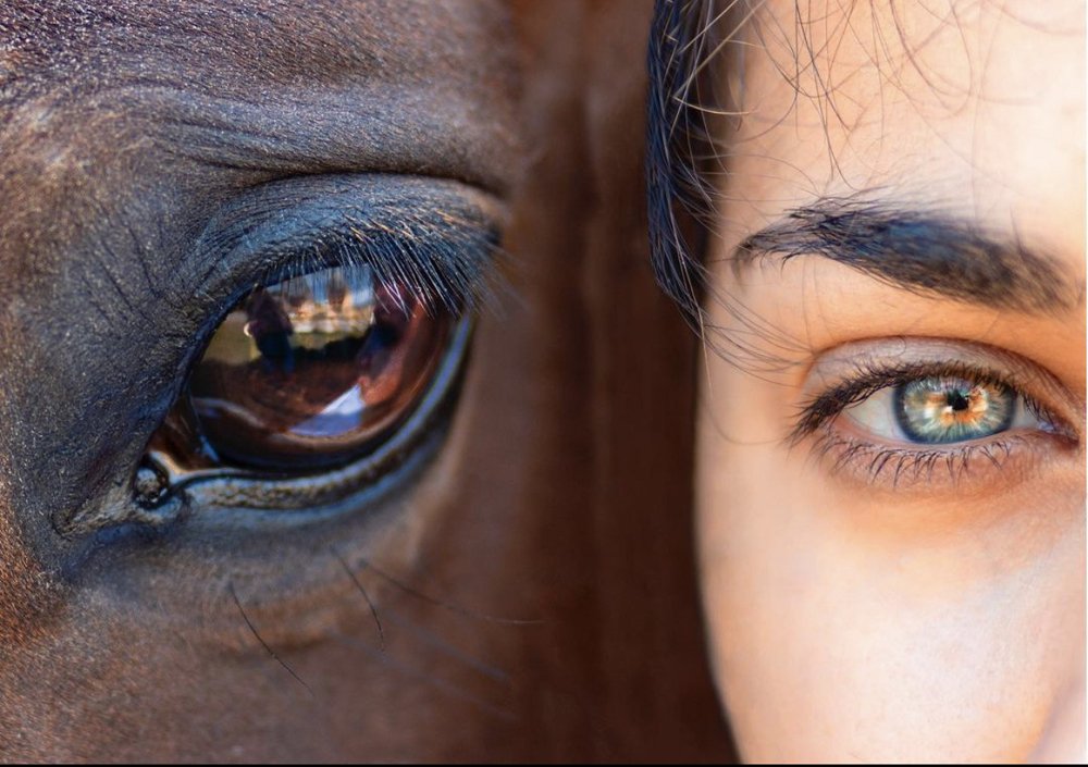 Photograph by Сонетта Саркисян