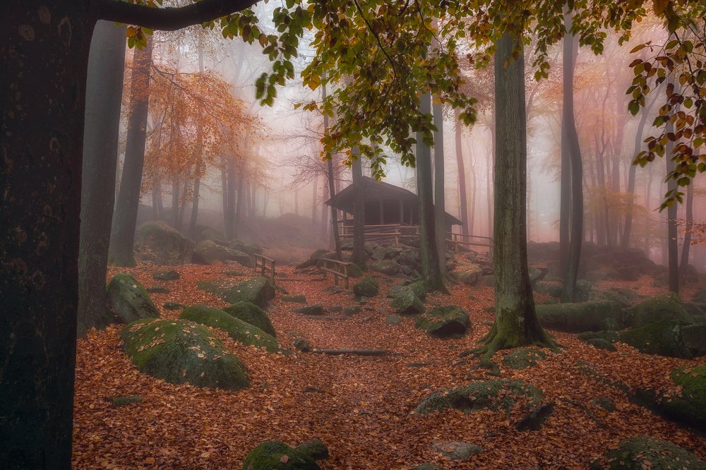 Photograph by Сергей Швандт