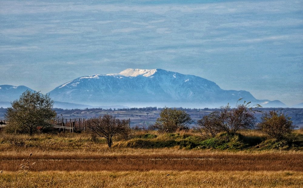 Photograph by Eva Wiedemann