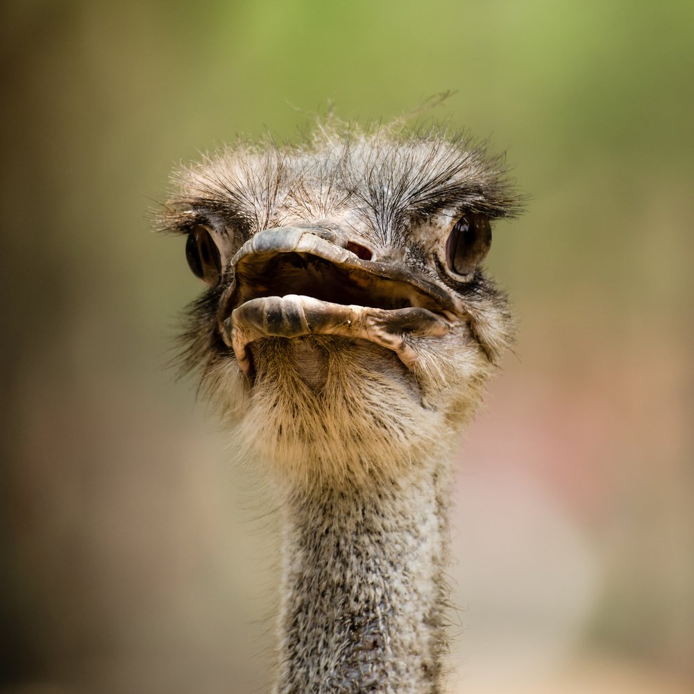 Photograph by Kishore Perumbuduri