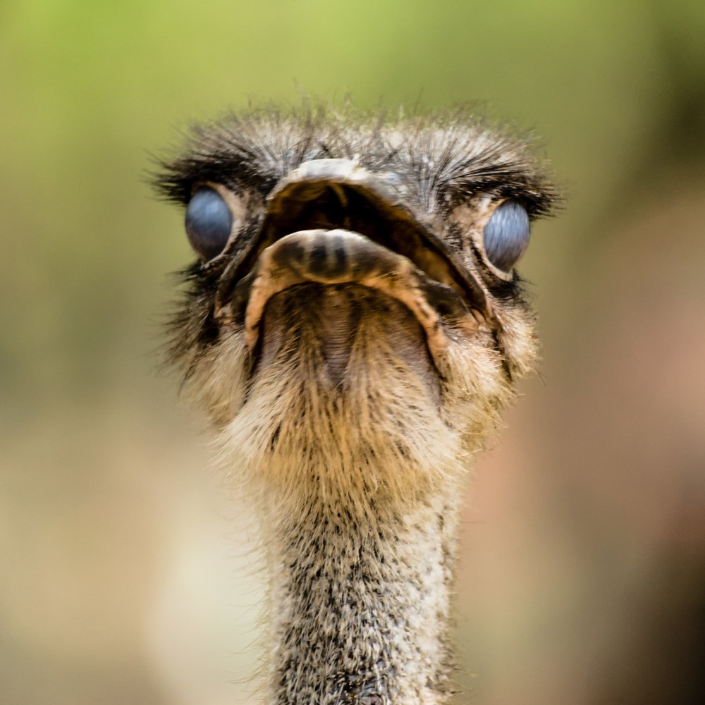 Photograph by Kishore Perumbuduri