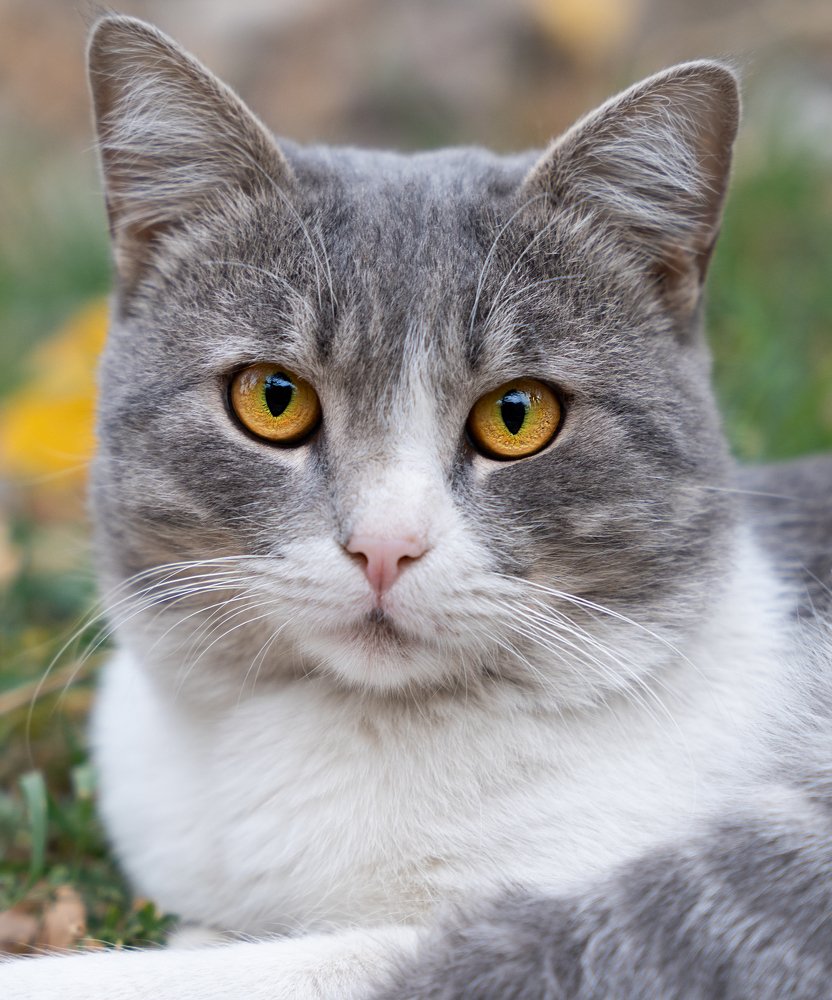 Photograph by Павел Сарвардинов