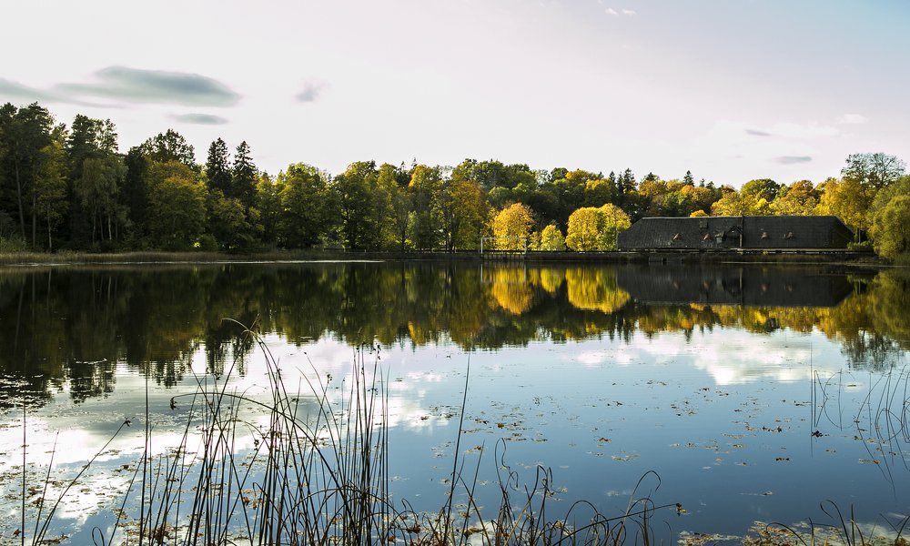 Photograph by ILONA KILA