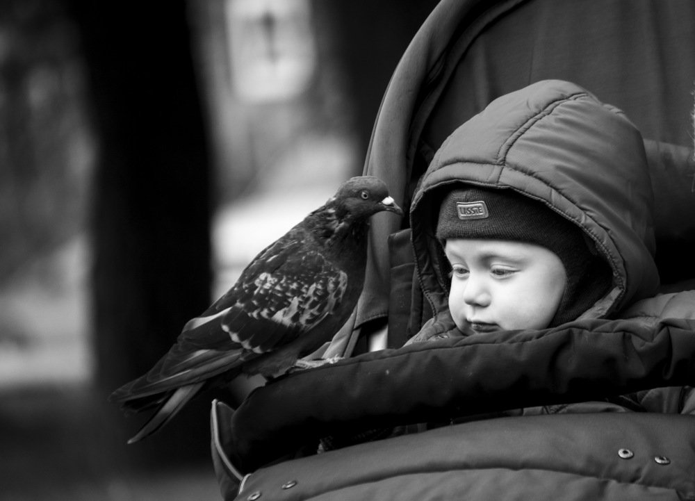 Photograph by Евгения Лацис