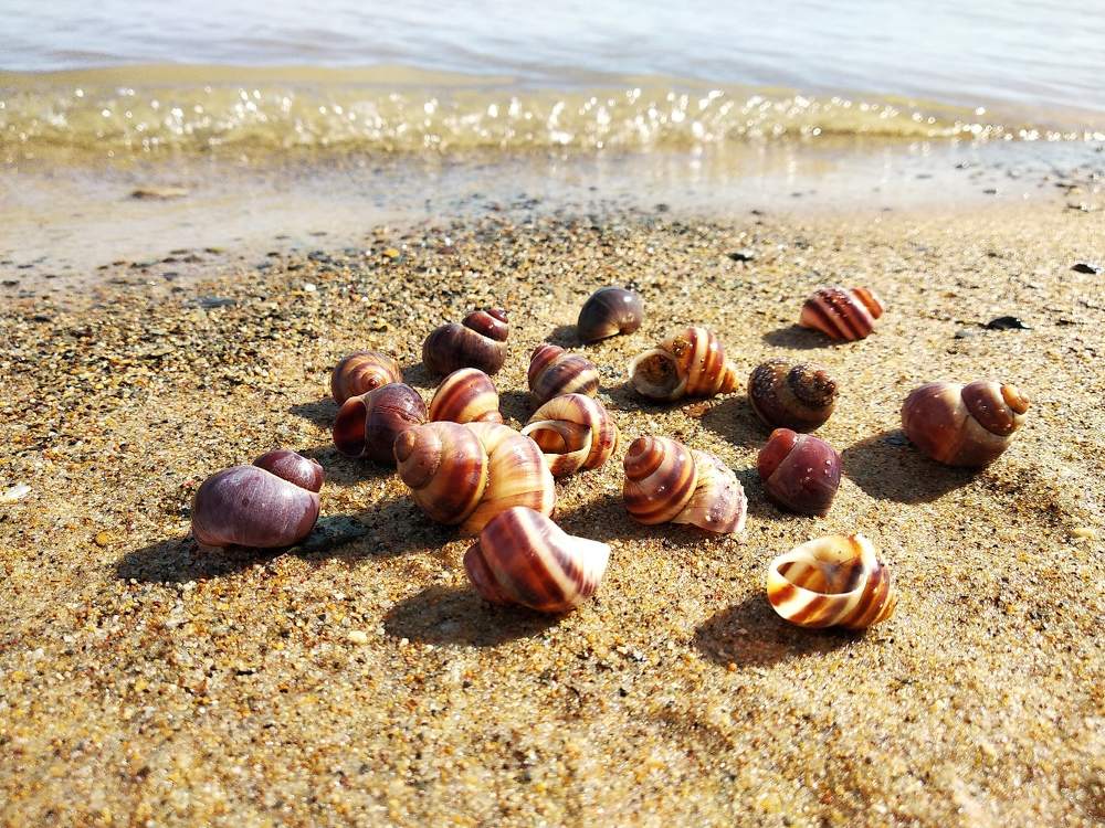 Фотография автора Алексей Новиков