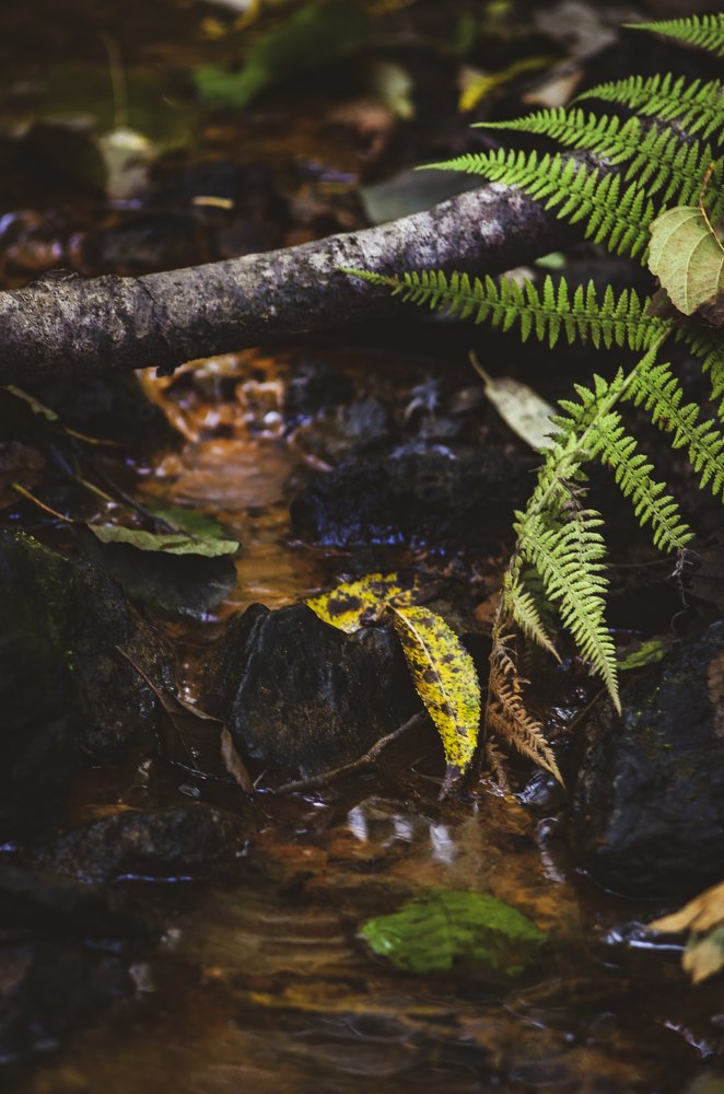 Photograph by Володимир Білоцькій