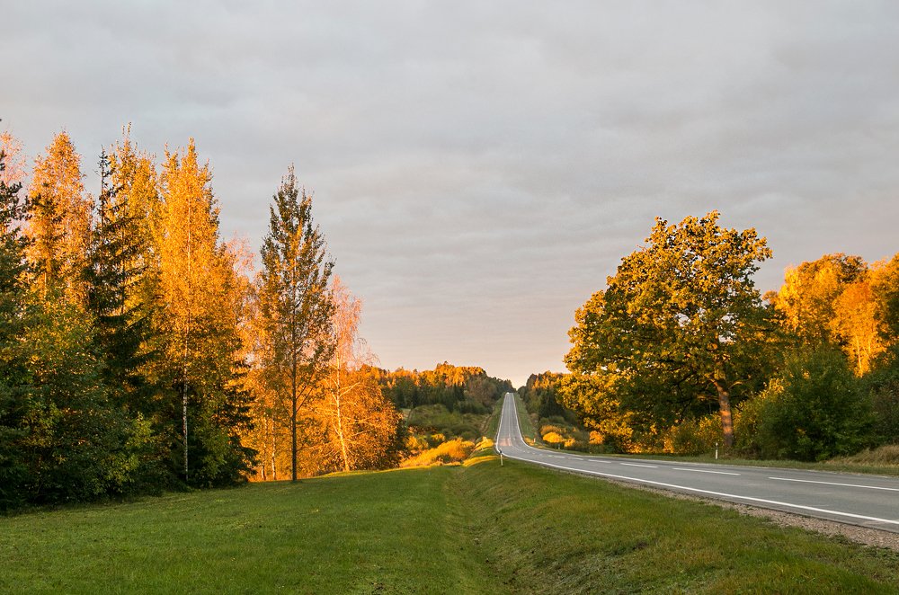 Photograph by ILONA KILA