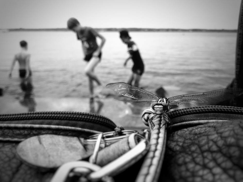 Photograph by Евгения Лацис