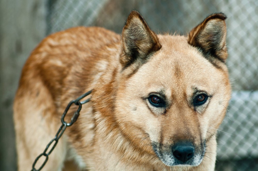 Photograph by Вадим Храмцов