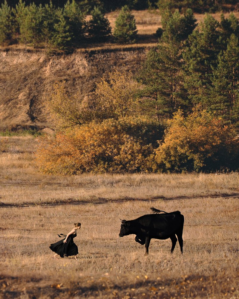 Photograph by Виктория Краснобородько