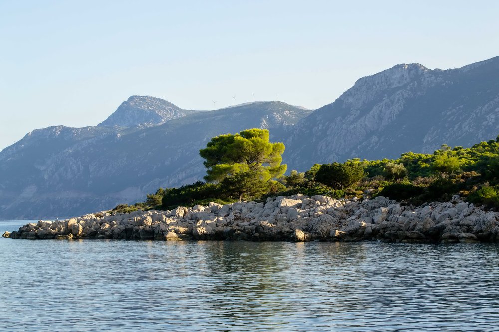 Photograph by Анна