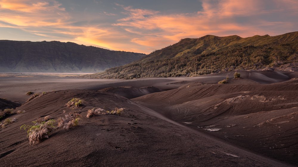 Sunrise at the sand savanna of Mt Bromo