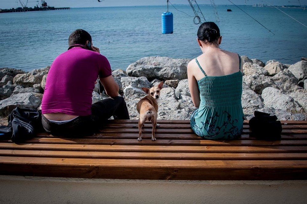 Photograph by Игорь Глазко