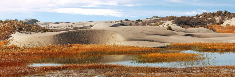 Фотография автора Виталий Исиков