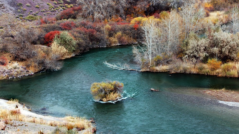 Фотография автора Виталий Исиков