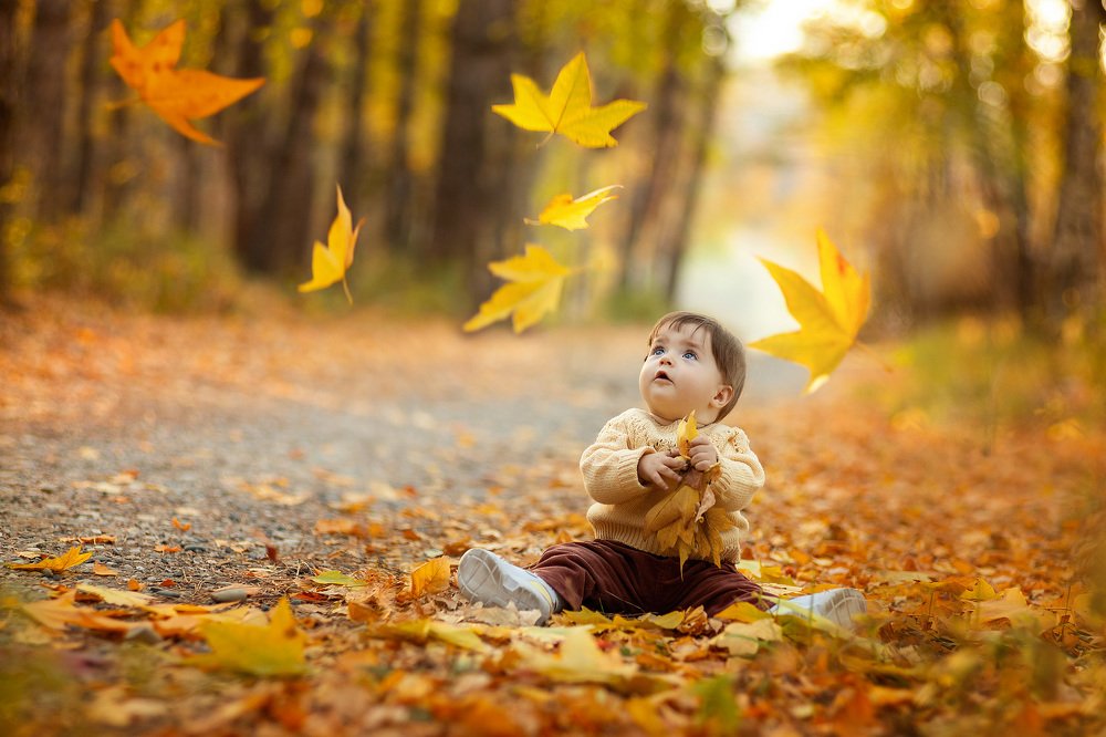 Первый листопад!