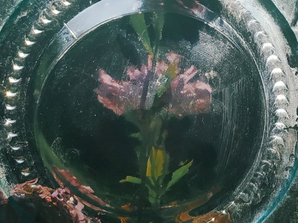 Photograph by Екатерина Харитонова