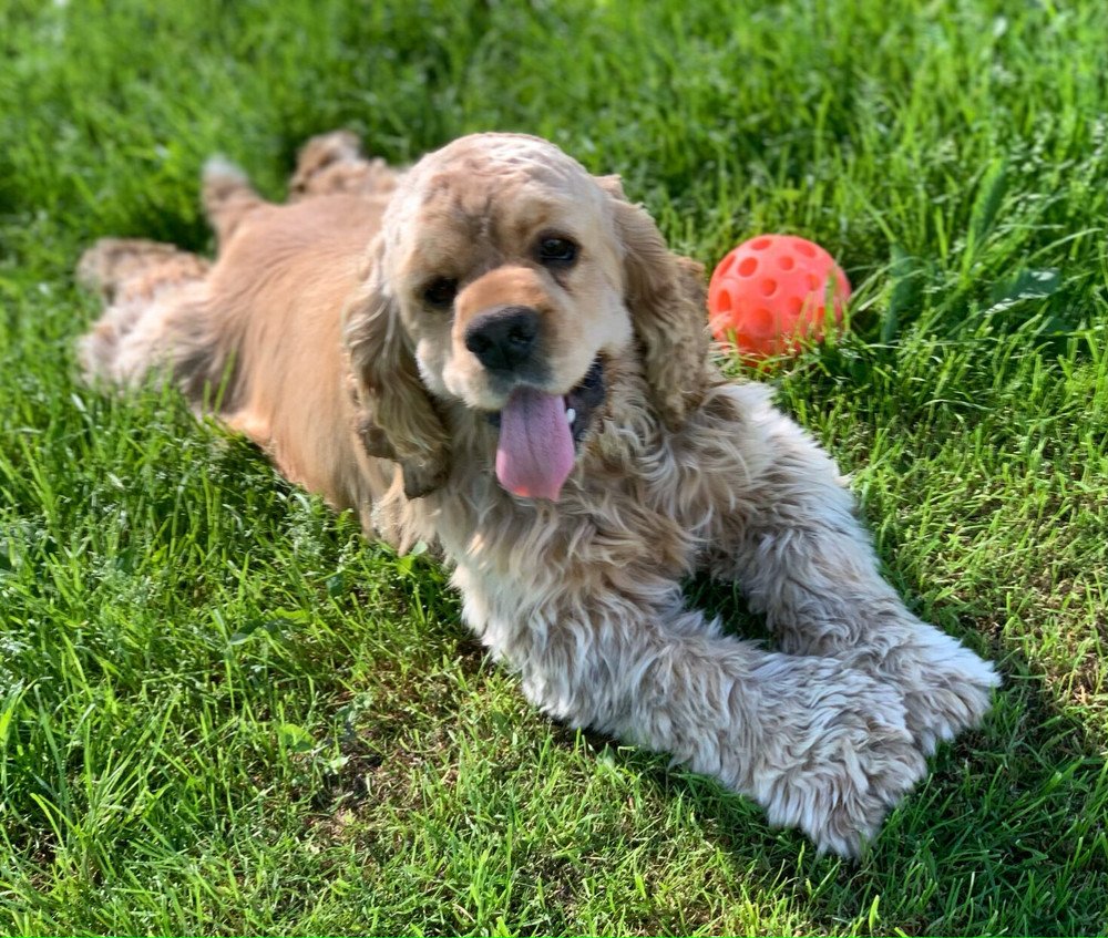 Photograph by Екатерина Раевская