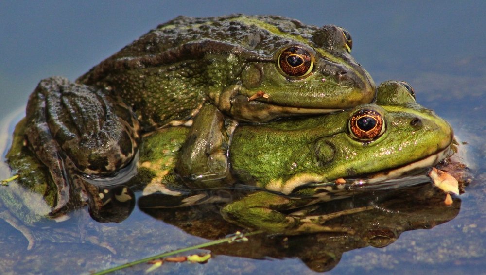 Photograph by Galina Tsmyg