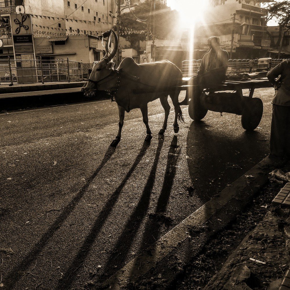 Фотография автора Gopalakrishna Chinta