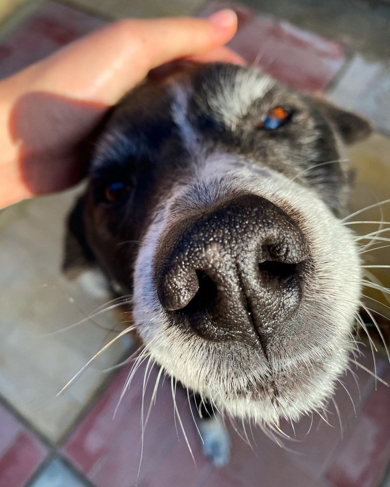 Photograph by Марина Цветкова