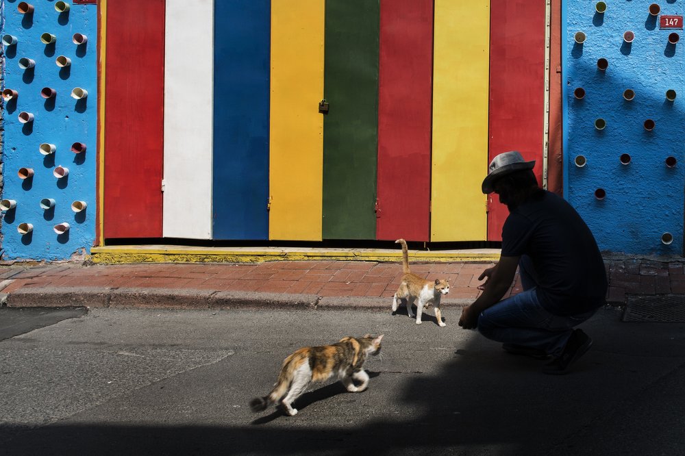 Photograph by Murat Sahin