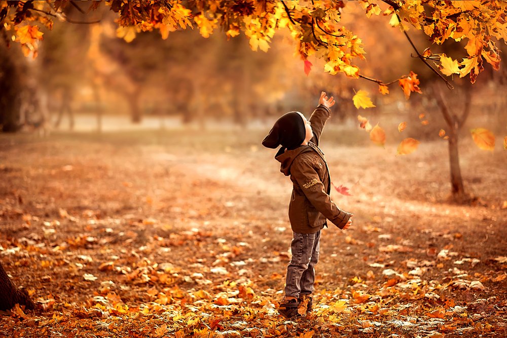 Photograph by Марина Коломиец