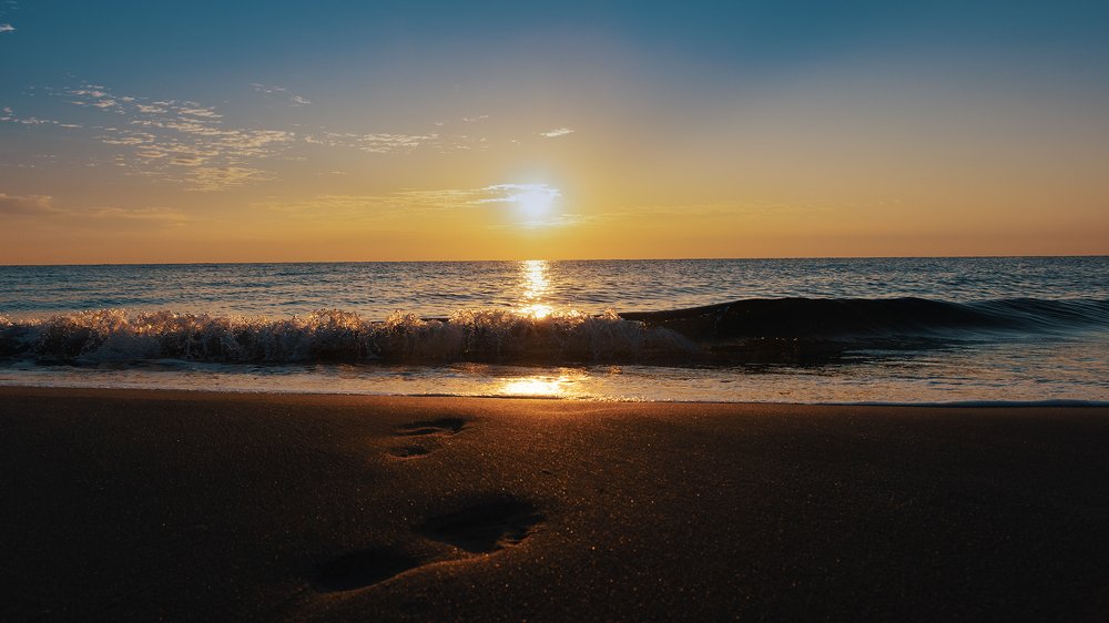 Photograph by Manjri Saxena