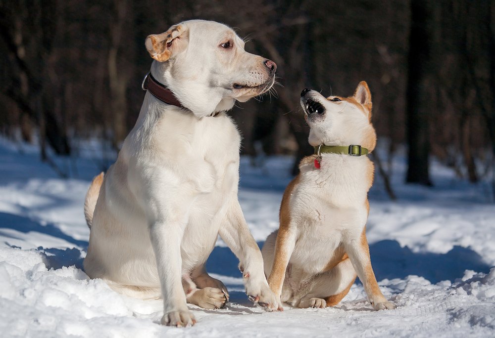 Photograph by Ольга Мурзина