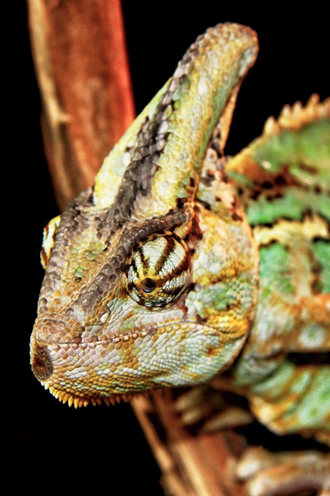 Photograph by Александр Малютин