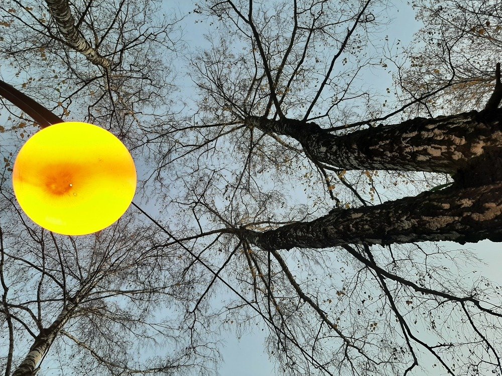 Photograph by Анастасия Зенкина