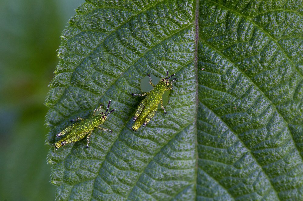 Photograph by TOH KAI HU