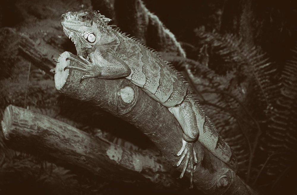 Photograph by Александр Малютин