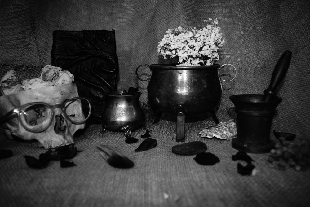 Photograph by Kristine Nesvetajeva