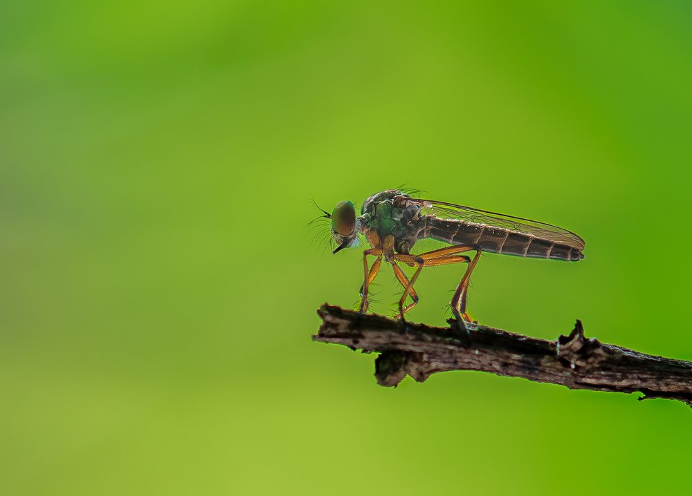 Photograph by shabu joseph