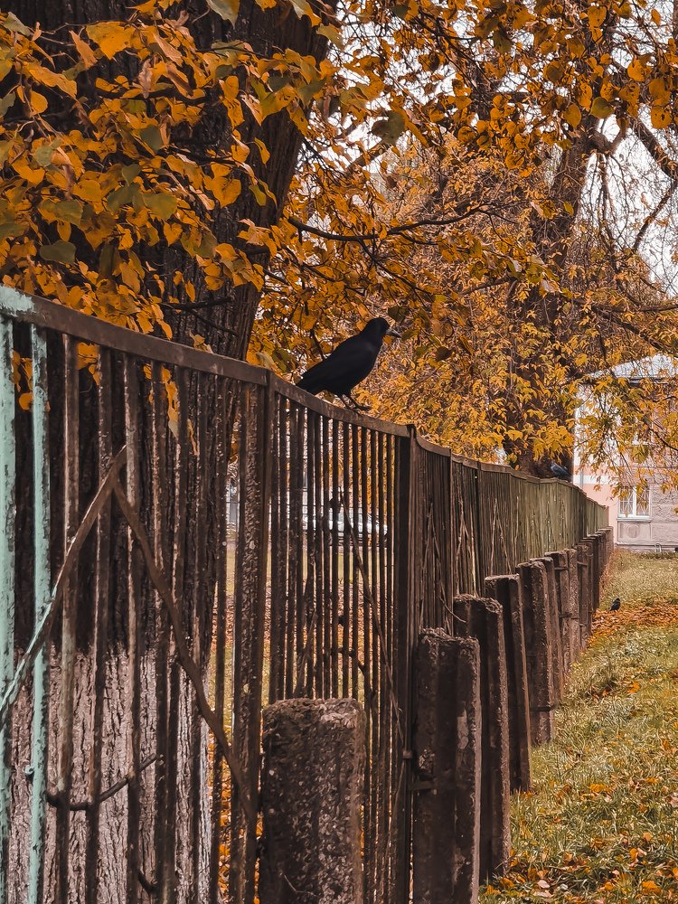 Photograph by Татьяна Желобкова