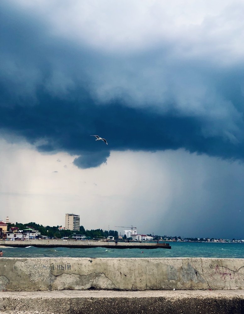Photograph by Anna Haidukova