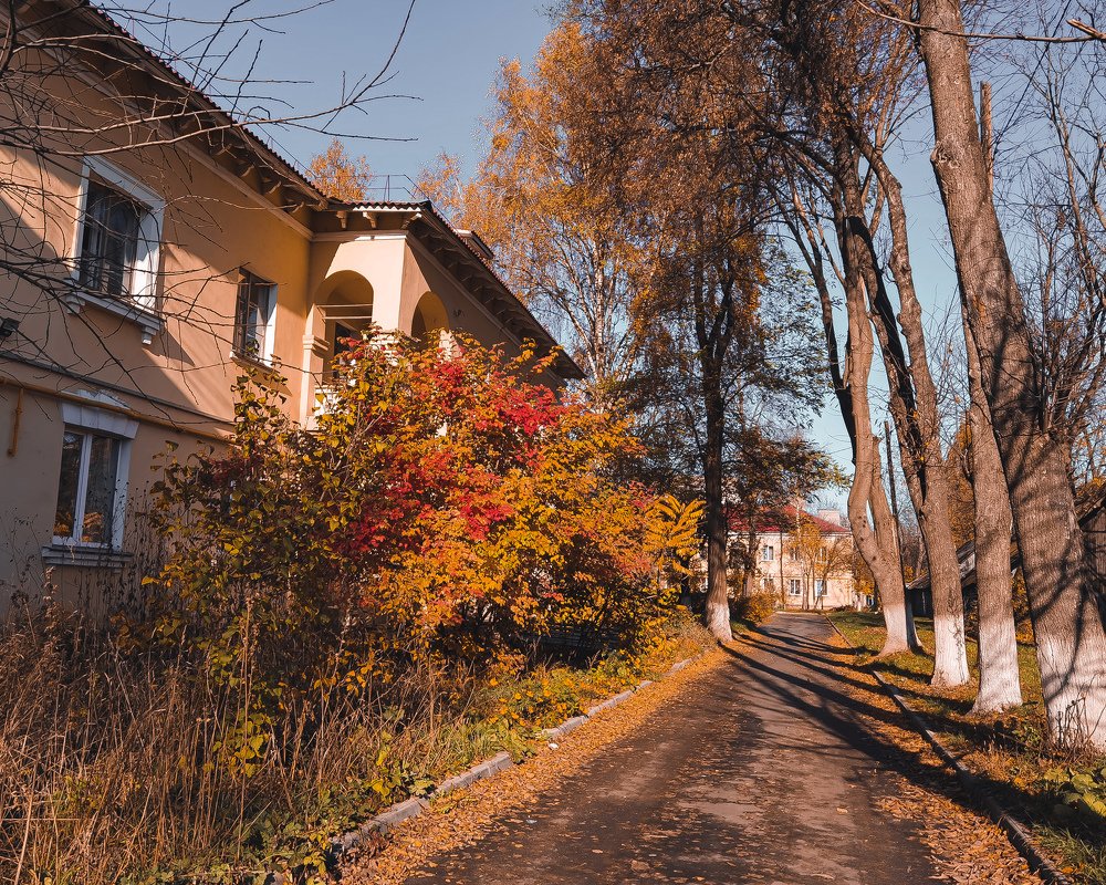 Photograph by Татьяна Желобкова