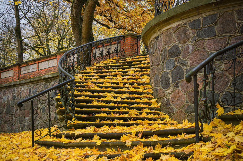 Photograph by Valdis Serzhans