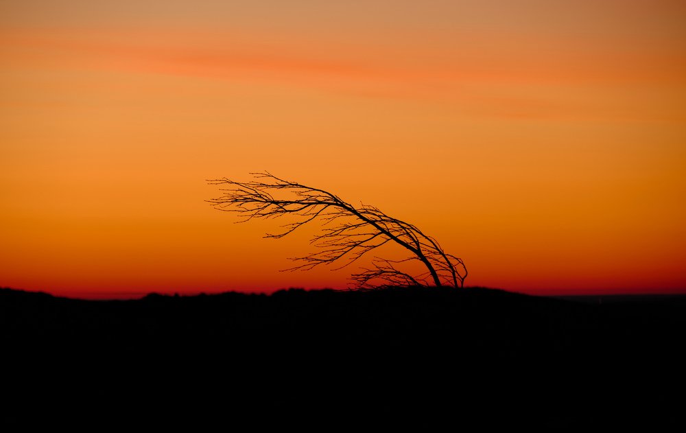 Photograph by Евгений Пташко