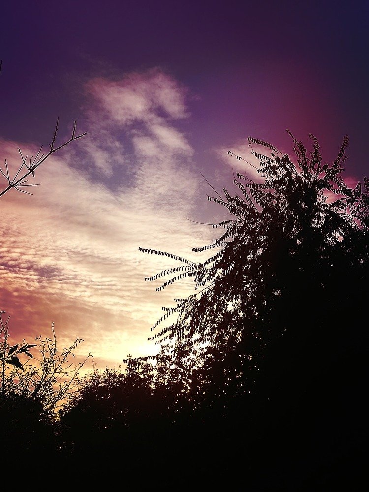 Photograph by Егор Лузан