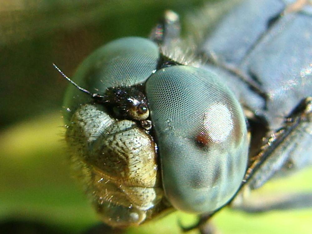 Фотография автора Павел Попов