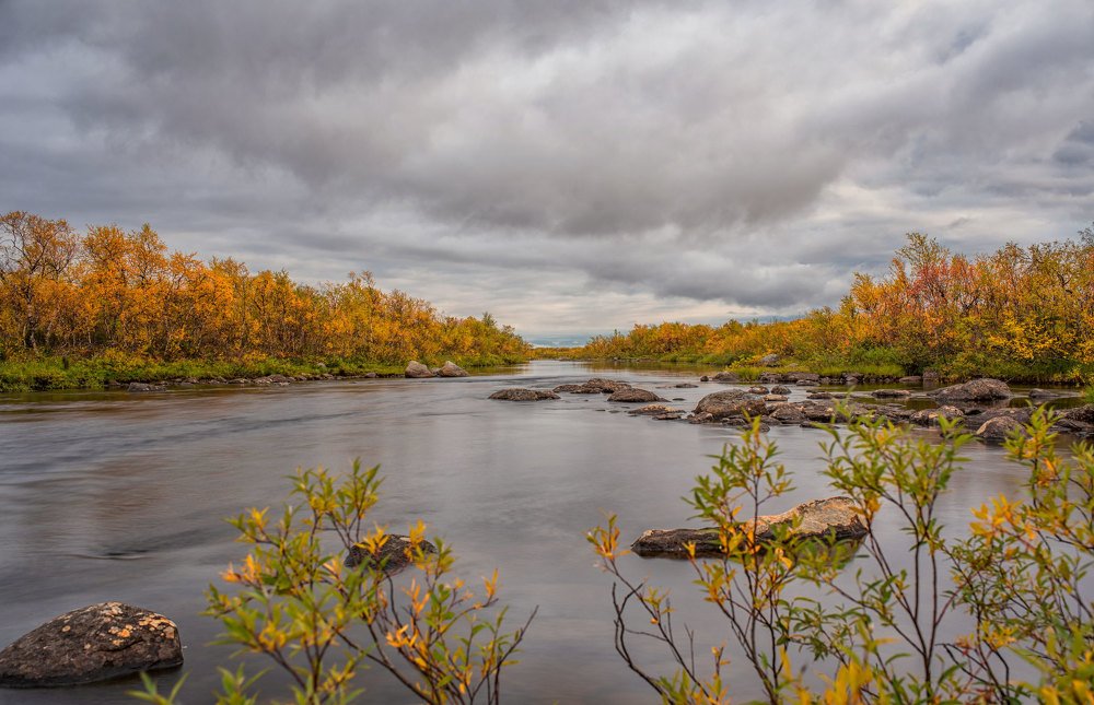 Река Кольйок
