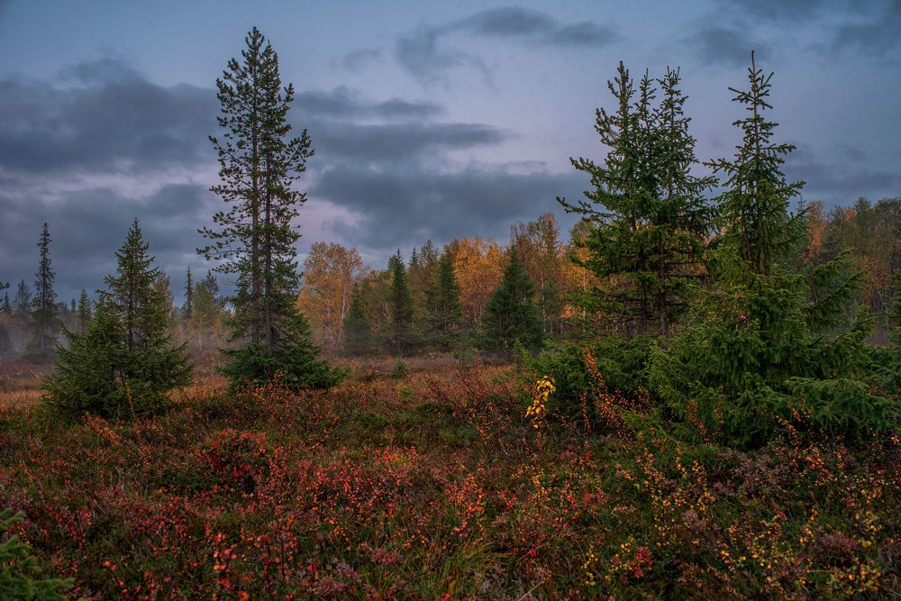 Осенний вечер