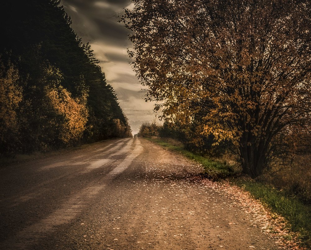 Photograph by Anke Sark