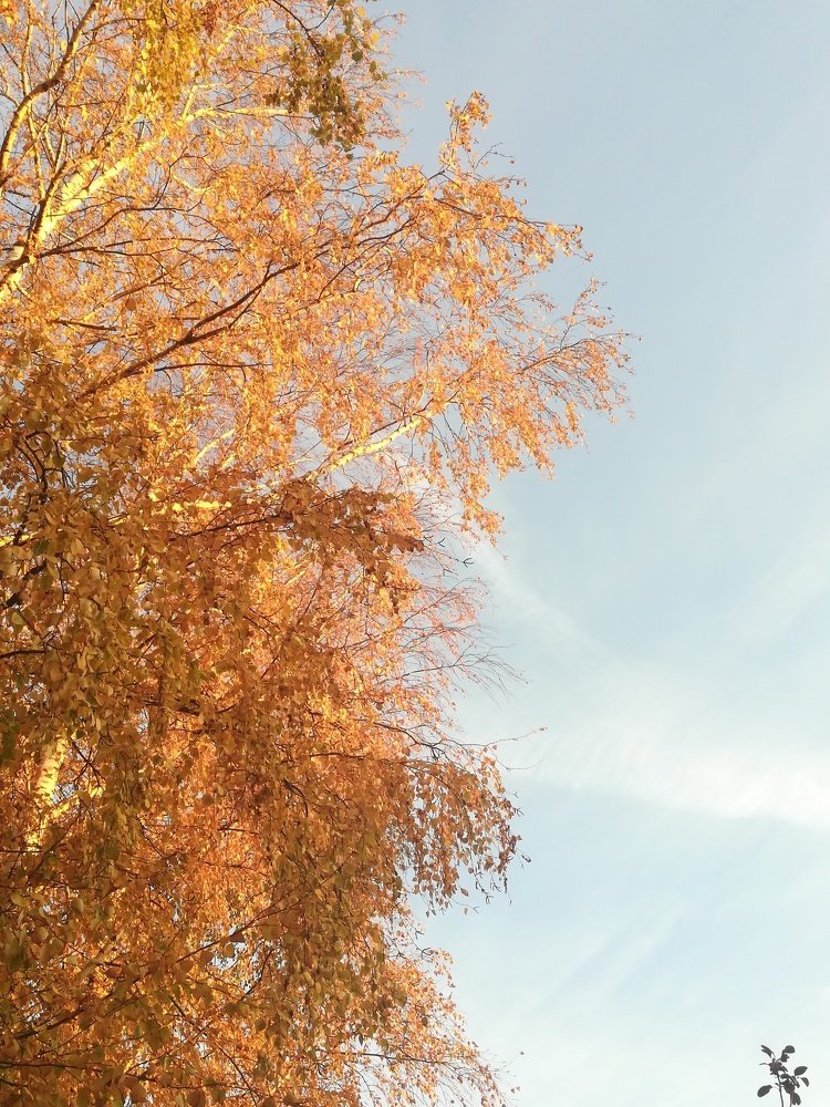 Photograph by Егор Лузан