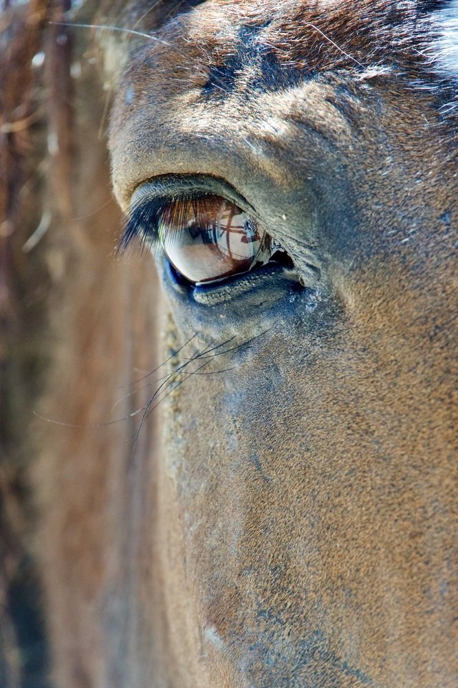 Photograph by Наталья Пирогова