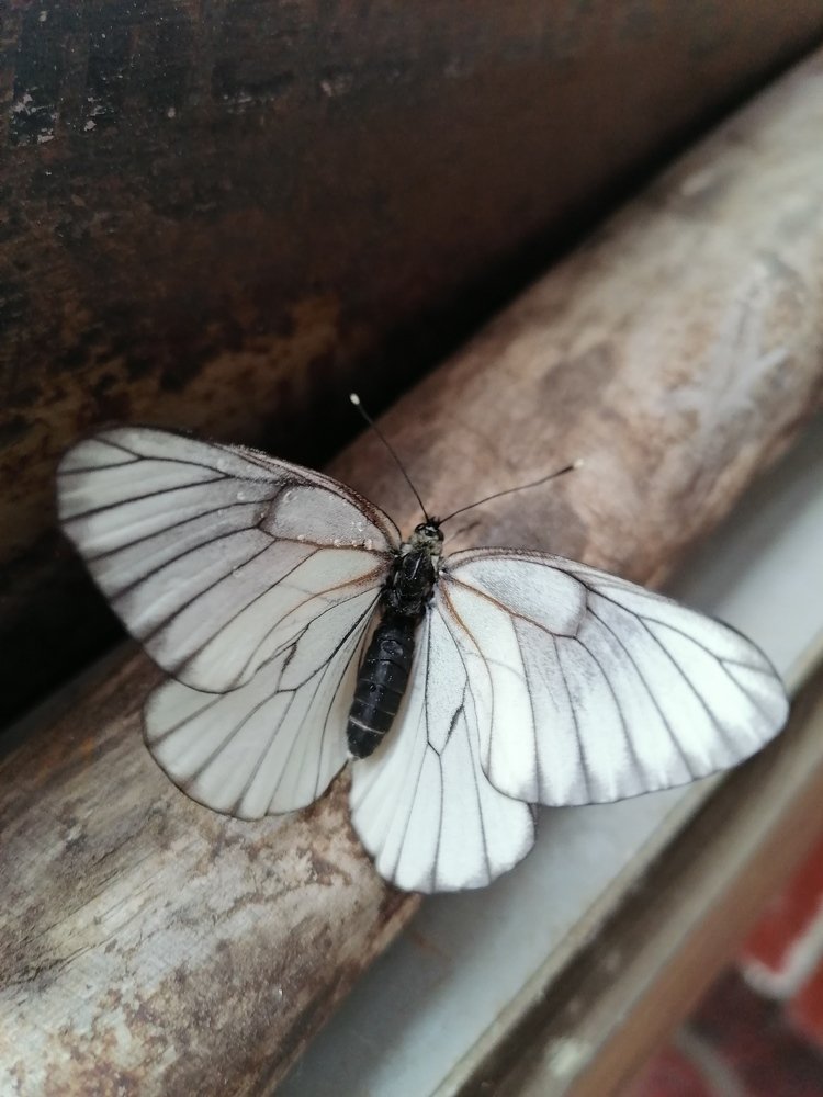 Photograph by Алёна Долгова