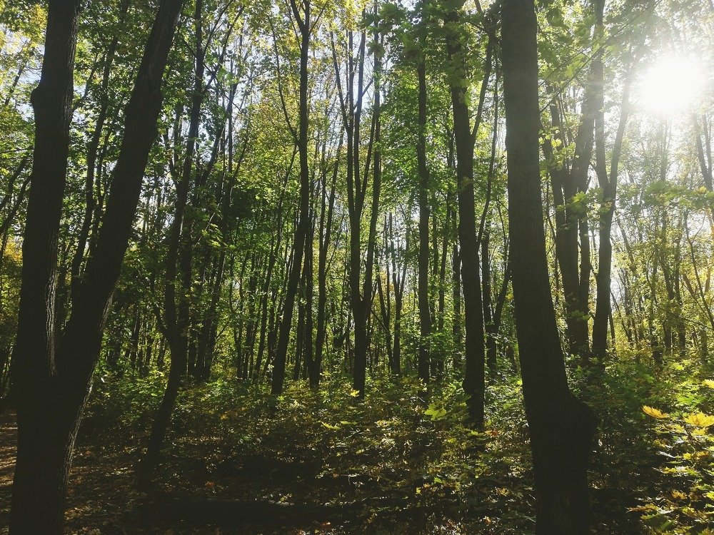 Photograph by Егор Лузан